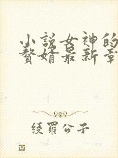 小说女神的超级赘婿最新章节封面