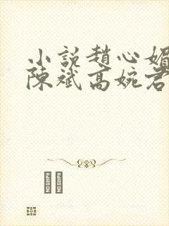 小说赵心媚主角陈斌高婉君