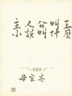 主人公叫王峰的小说叫什么名字