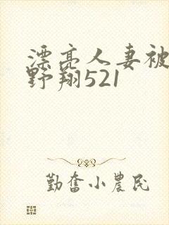 漂亮人妻被强西野翔521封面