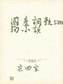 国产调教sm母狗小说封面