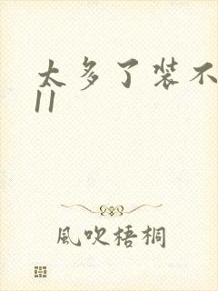 太多了装不下H11