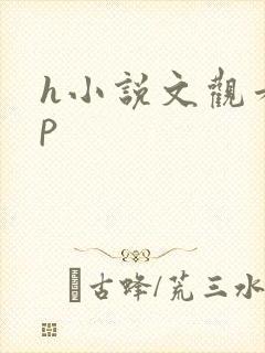 h小说文观看np