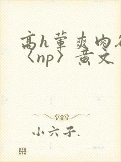 高h荤爽肉欲文〈np〉黄文封面