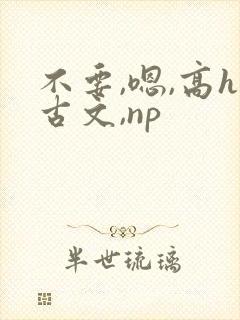 不要,嗯,高h古文,np封面