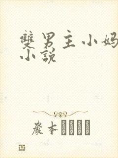 双男主小妈文学小说