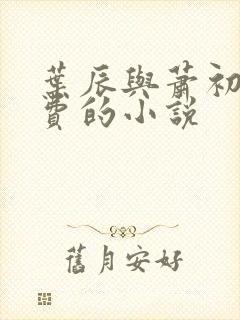 叶辰与萧初然免费的小说封面