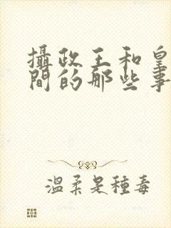 摄政王和皇上之间的那些事儿 小说