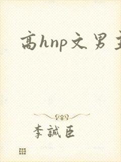 高hnp文男主