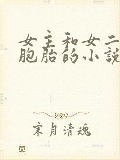 女主和女二是双胞胎的小说封面