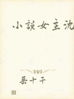 小说女主沈知意封面