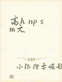 高h np sm文