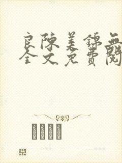 良陈美锦无删减全文免费阅读