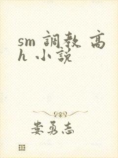 sm 调教 高h 小说封面