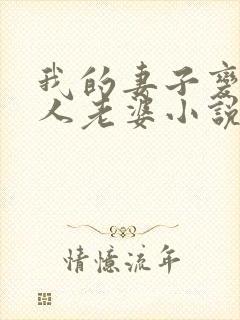 我的妻子变成别人老婆小说