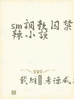 sm调教囚禁高辣小说封面