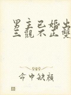 男主已婚出轨受三观不正双男主封面