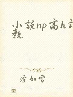 小说np高h调教封面