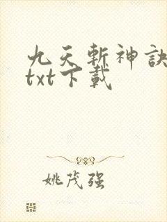 九天斩神诀林辰txt下载