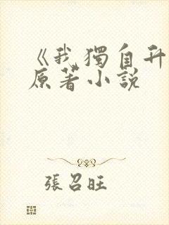 《我独自升级》原著小说