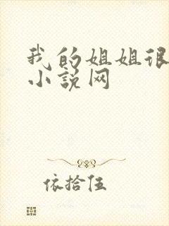 我的姐姐很弟控小说网封面