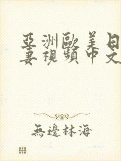 亚洲欧美日韩人妻视频中文字幕