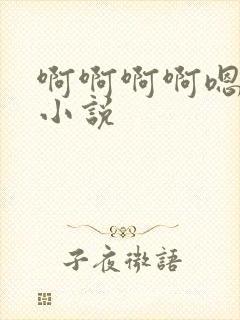 啊啊啊啊嗯嗯嗯小说封面