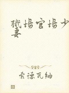 职场官场少妇人妻封面