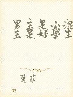 男主是小混混女主是好学生的小说封面