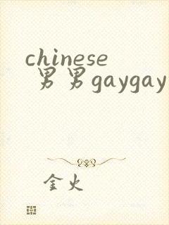 chinese 男男gaygay 网站