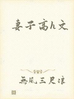 妻子高h文