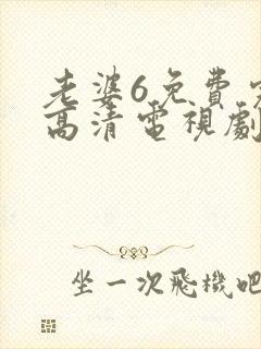 老婆6免费完整高清电视剧封面