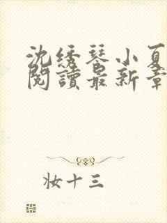 沈绣琴小夏全文阅读最新章节