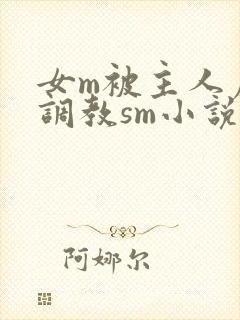 女m被主人虐玩调教sm小说封面