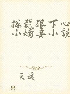 总裁狠下心来打小娇妻小说