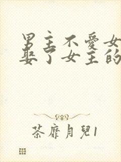 男主不爱女主却娶了女主的虐文