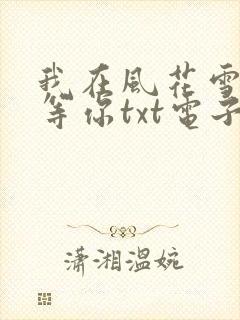 我在风花雪月里等你txt电子书