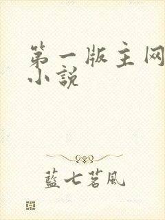 第一版主网精品小说