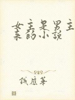 女主是男主买回来的小说