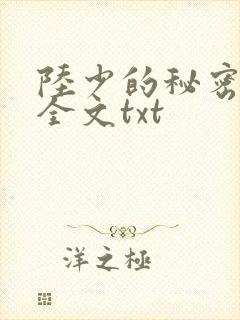 陆少的秘密恋人全文txt