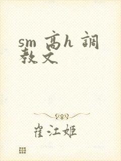 sm 高h 调教文