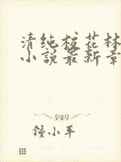 清纯校花林幼然小说最新章节