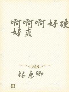 啊啊啊好硬好大好爽封面