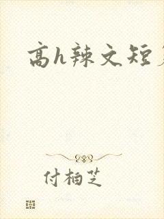 高h辣文短篇