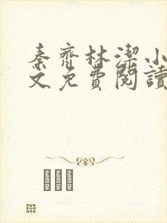 秦齐林洁小说全文免费阅读最新章节