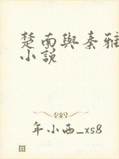 楚南与秦雅柔的小说