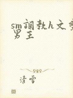 sm调教h文双男主