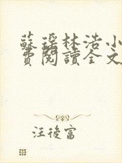 苏瑶林浩小说免费阅读全文最新章节