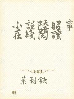 小说陆昭宁萧昀在线阅读