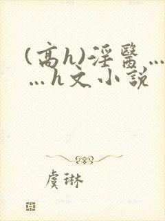 (高h)淫医……h文小说
